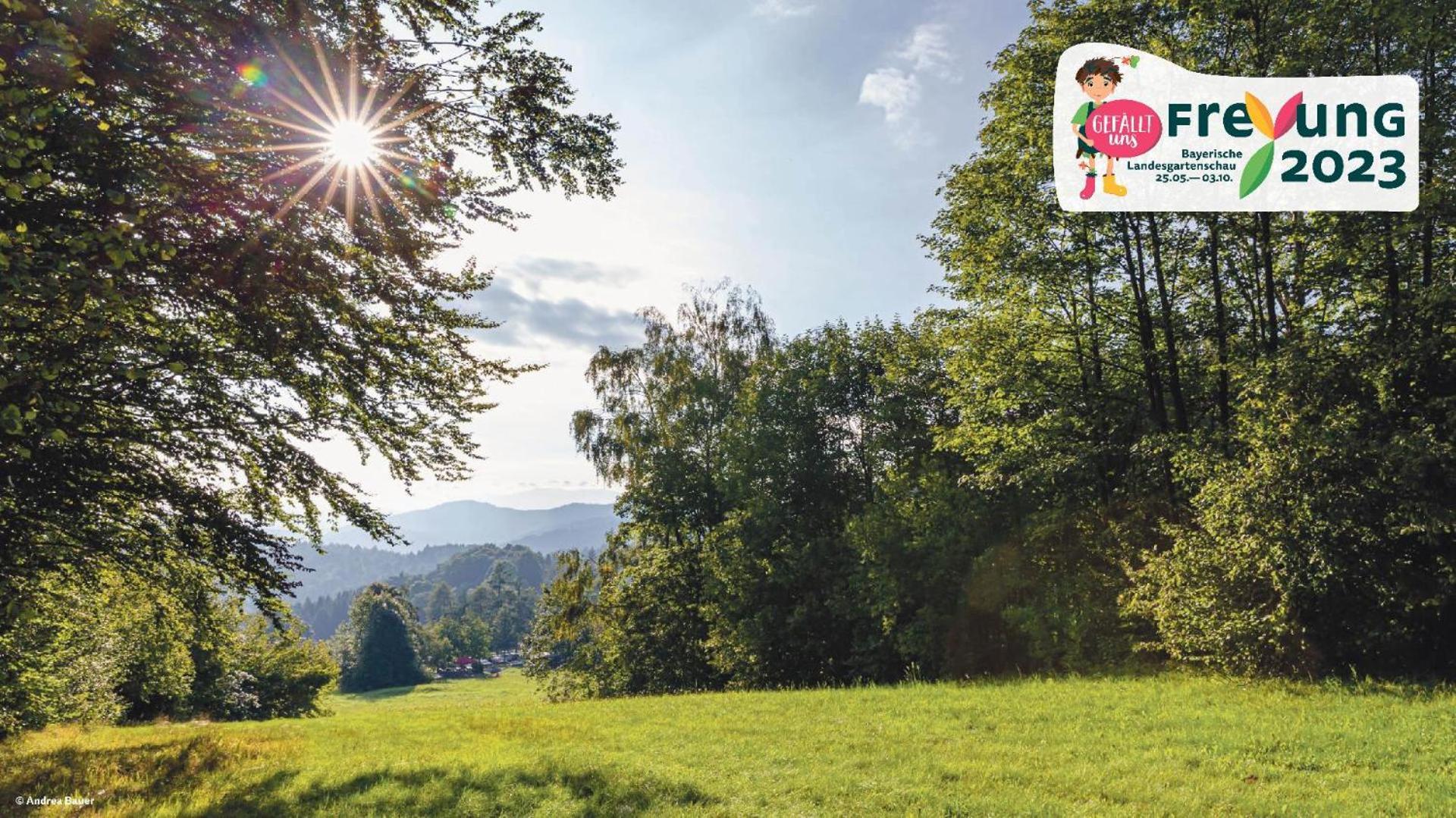 Ferienwohnungen Bayerischer Wald Mit Pool Freyung Eksteriør bilde